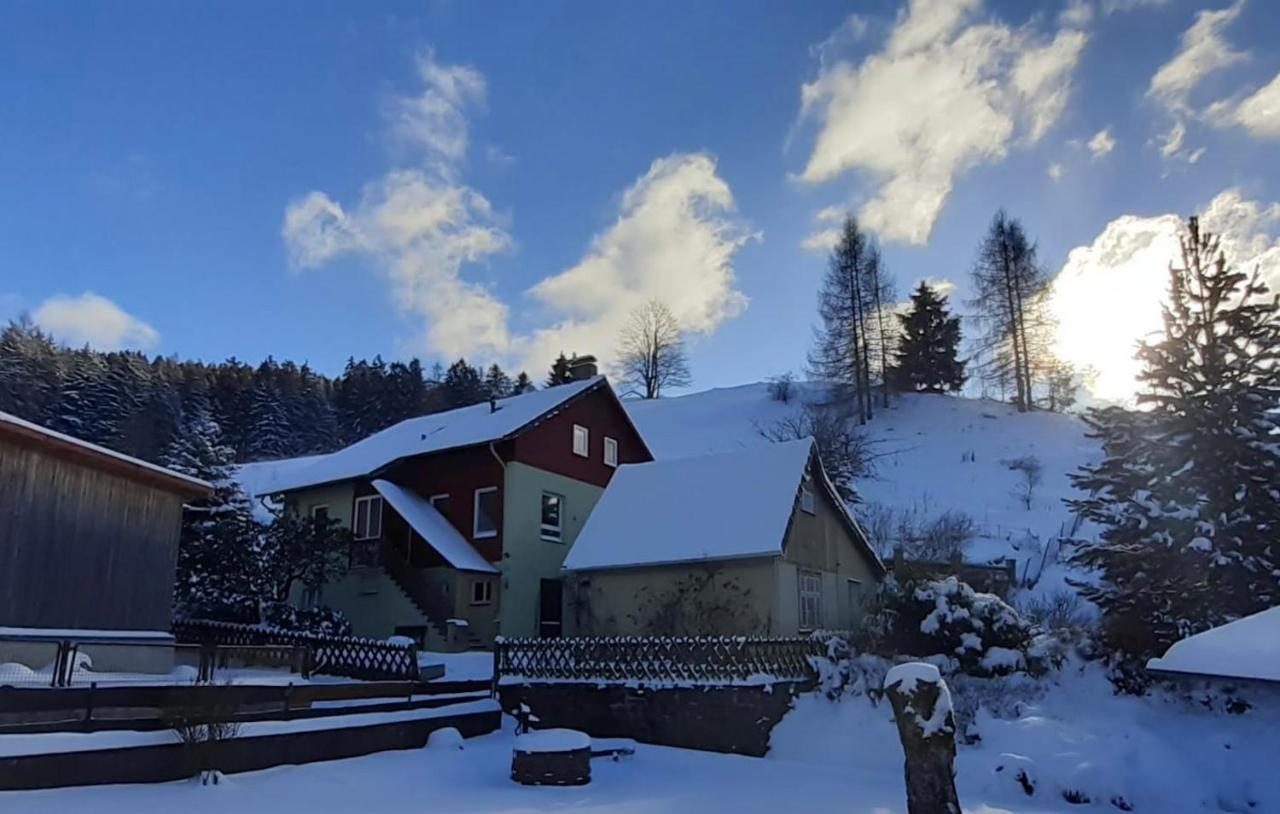 Platell Ferienhaeuser Harz Lerbach المظهر الخارجي الصورة
