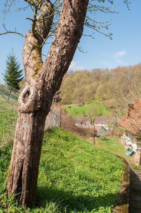 Platell Ferienhaeuser Harz Lerbach المظهر الخارجي الصورة